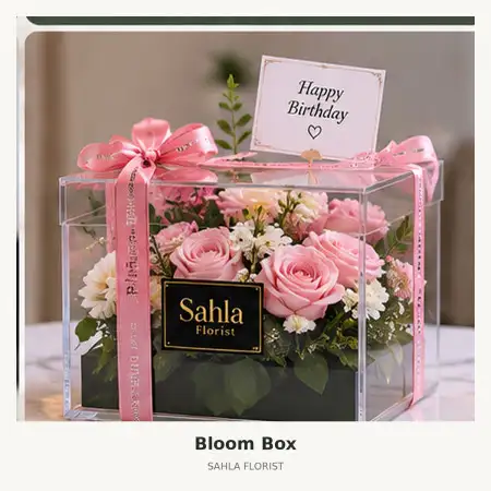 Bloom Box Kotawaringin Barat